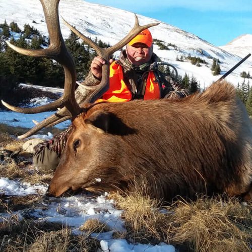 Elk Hunting Guides - Horn Fork Guides