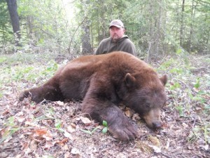 Spot and Stalk Coastal Black Bears